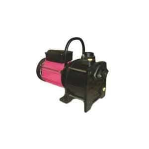 Kirloskar Lifter-150 1.5HP Shallow Well Pump
