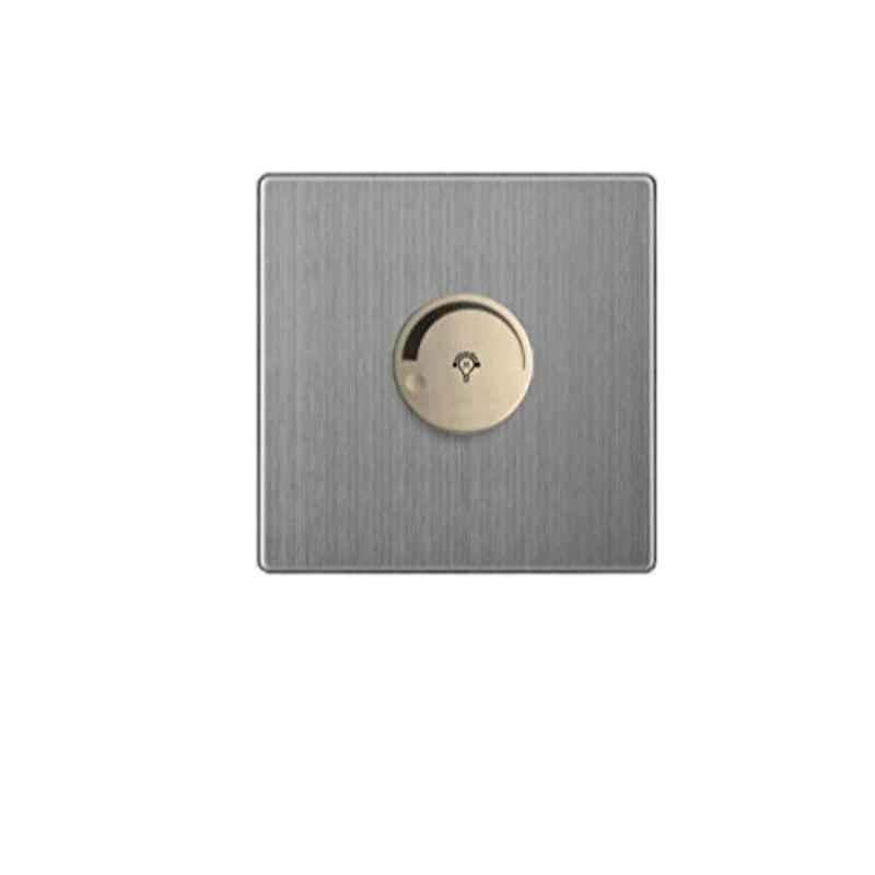 Vmax Golden & Stainless Steel Dimmer Switch Socket