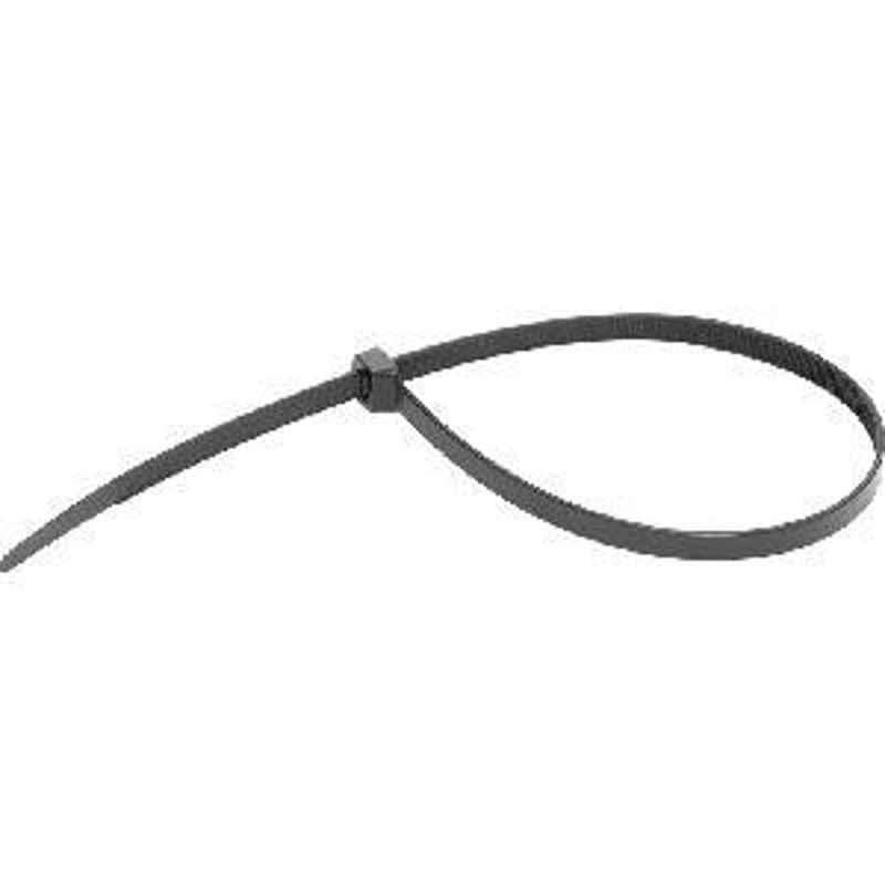 Standard 250 mm Cable Tie