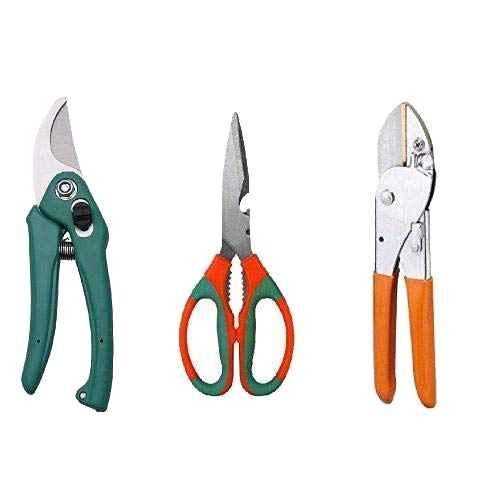 Buy Pier Imports 3 Pcs Scissor, Pruner & Cutter Garden Tool Kit, PI109
