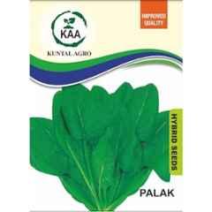 Kuntal Agro 20g Spinach Hybrid Vegetable Seeds