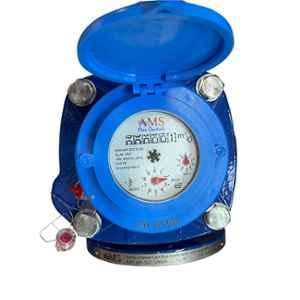 AMS Valves Valves WP-SDC 2.1/2 inch PN16 Flanged WOLTMANN Water Meter