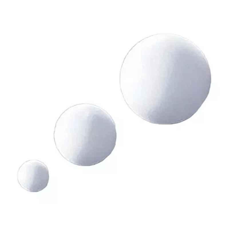 Lab Plus Nylon Coated Iron Ball 1/2 inch, LP-9616 (Pack of 10)