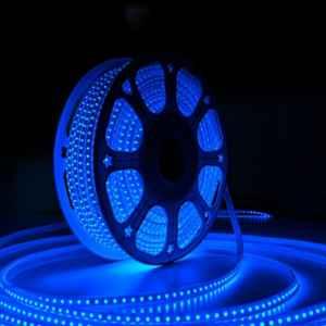 Forus 9W Blue Rope Light, Length: 50 m