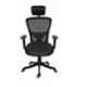Rose Teesla Black Mesh High Back Swivel Desk Adjustable Ergonomic Chair with Headrest, Armrest & 2D Lumbar Support