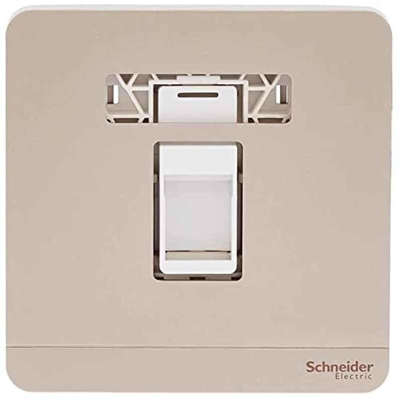 Schneider AvatarOn 1 Gang Polycarbonate Gold Keystone Wallplate, E8331RJS_WG
