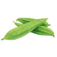 Only For Organic 50g Ridge Gourd Seed for Agriculture