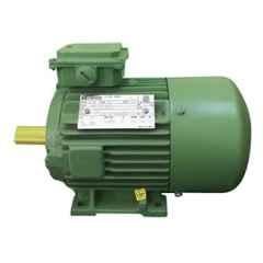 Hindustan 1.0HP 3000rpm IE2 Three Phase 2 Pole Foot Mounted Induction Motor, 2HE2 080-0203