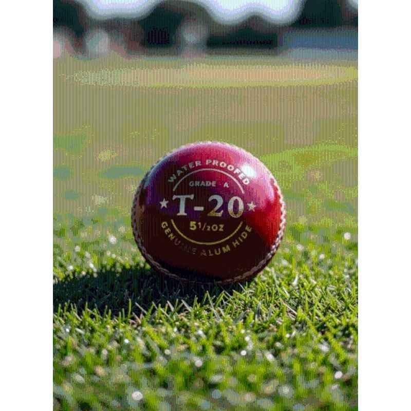 LSI Sports T-20 Red Leather Cricket Ball