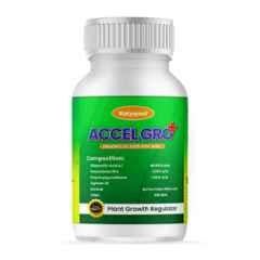 Katyayani 24g Accel Gro Gibberellic Acid 40% WSG Plant Growth Regulator, K-6248