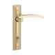 Bonus Olive1-8inch 65mm Brush Brass One Side Key Mortice Lock Set