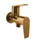 Aquieen Luxury PVD Finish Entice Gold 2 in 1 Angle Valve with Wall Flange