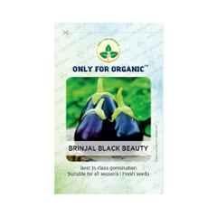 Only For Organic 10g Black Brinjal Vegetable Seeds, OFOPPBBB0050