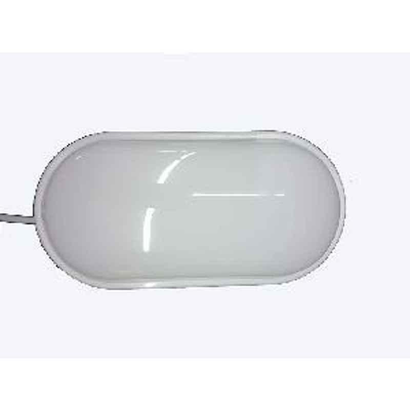 Bigapple 24W-BULKHEAD-OVAL LED Bulkhead Lamp white