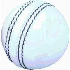 Bhavya Sports Leather Cricket Ball