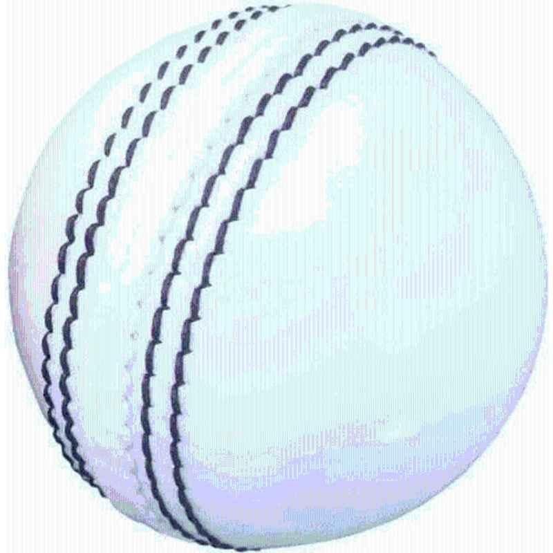 Bhavya Sports Leather Cricket Ball