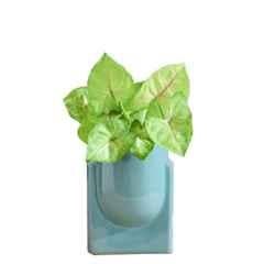 Ugaoo Ceramic Sandle Lilac Stories Bowl Planter, NUCP0872
