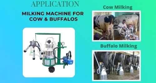 manufacturer details for