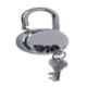 Alpha 65mm 8 Levers Silver Steel Padlock with Double Locking System