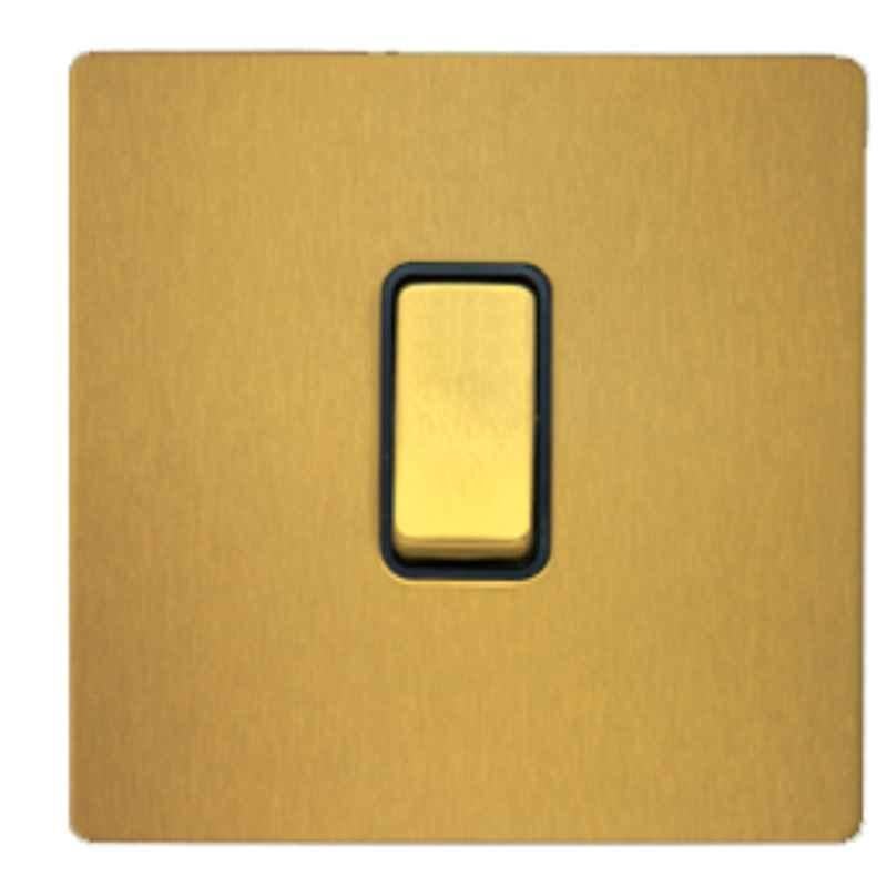 RR Vivan Metallic 10A Brushed Gold 1-Gang 2-Way Switch with Black Insert, VN6613M-B-BG