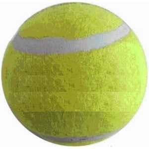 Matrica Leather Standard Yellow Professional Grade Impact Cricket Tennis Ball for Club Play