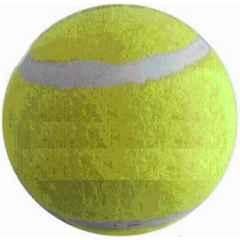 Matrica Leather Standard Yellow Professional Grade Impact Cricket Tennis Ball for Club Play