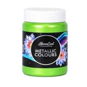 WinnerOne HomeCoat 500ml Green Apple Acrylic Pearl Colour, PC 111 (Pack of 2)