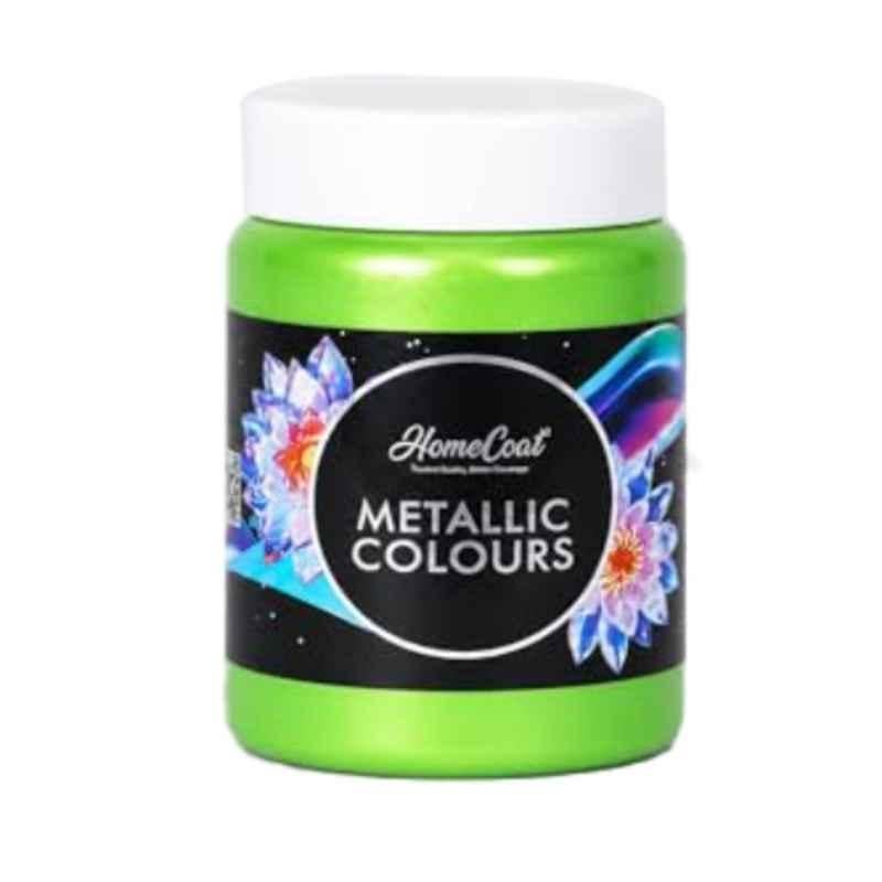 WinnerOne HomeCoat 500ml Green Apple Acrylic Pearl Colour, PC 111 (Pack of 2)