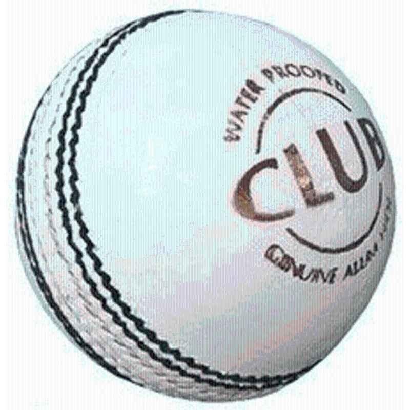 HTM Club Leather Cricket Ball