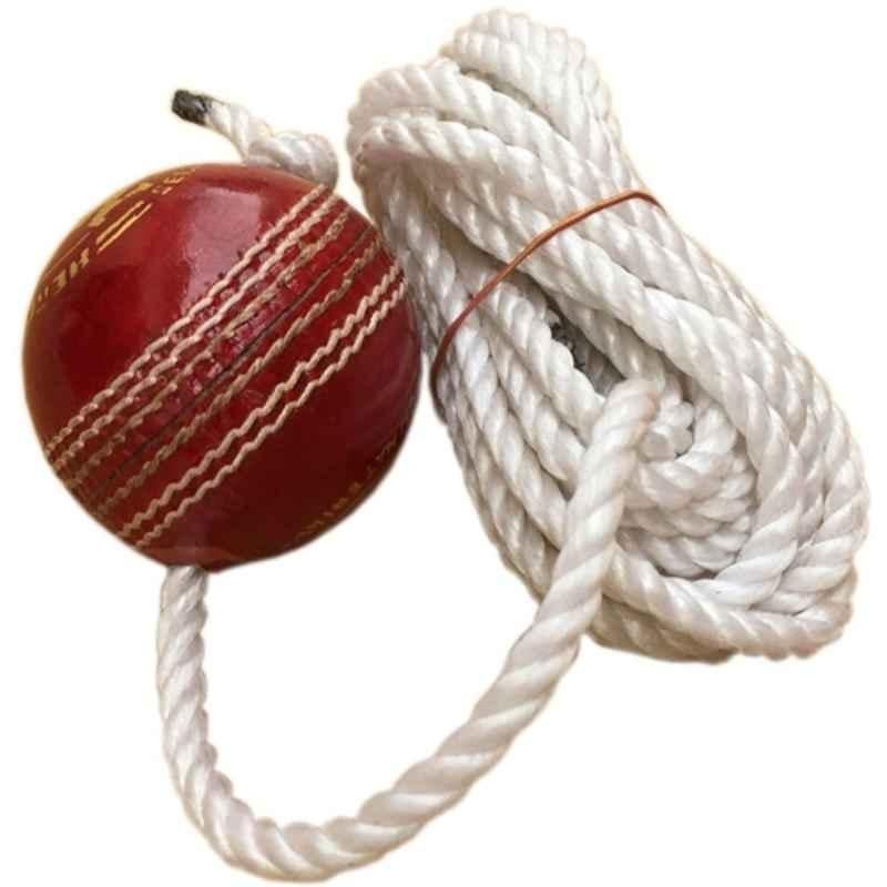Om Store Om Season Hanging Ball Cricket Training Ball (Standard Red)