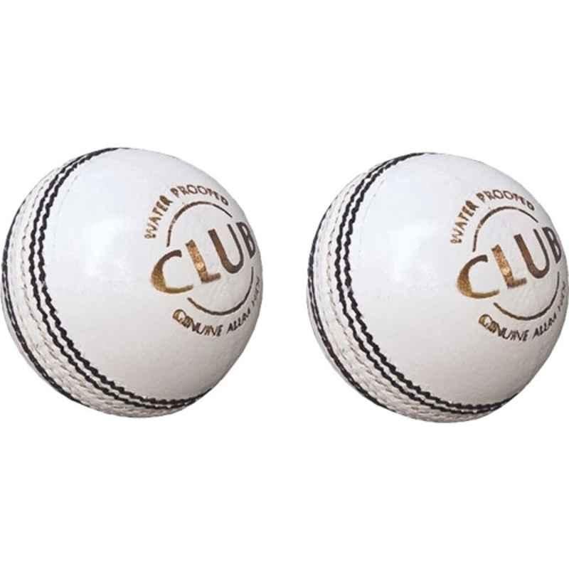 Diablo White 2 Part Premium Sports Standard Cricket Leather Ball, (Pack of 2)