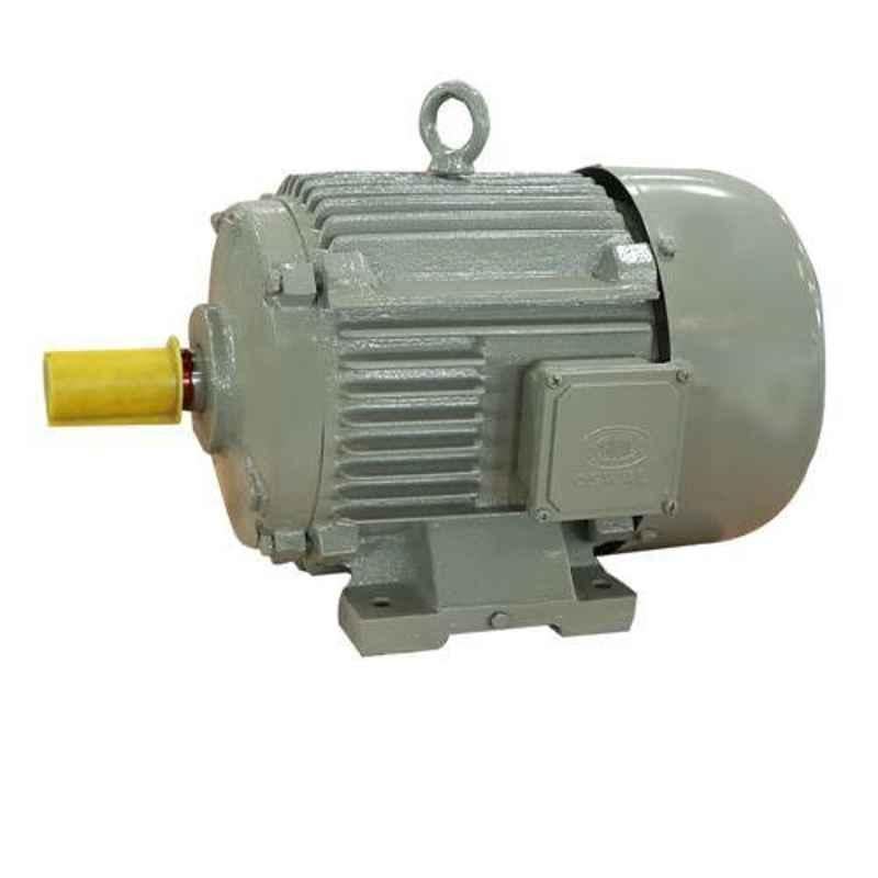 Oswal 0.5HP 1440rpm Single Phase Induction Electric Motor, OM-3-(CI)