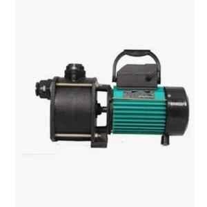 1HP 0.75kW Cast Iron Single Phase Shallow Well Water Pump with Aluminium Winding