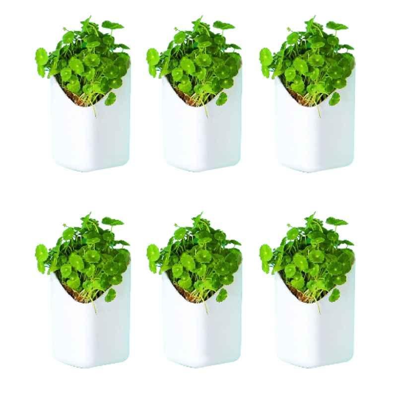 Blume Prism 7 inch Plastic White Hanging Planter, PRS-WT-6 (Pack of 6)