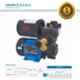 Varuna VMSPB D 0.5 H2 0.5HP Single Phase Pressure Booster Pump