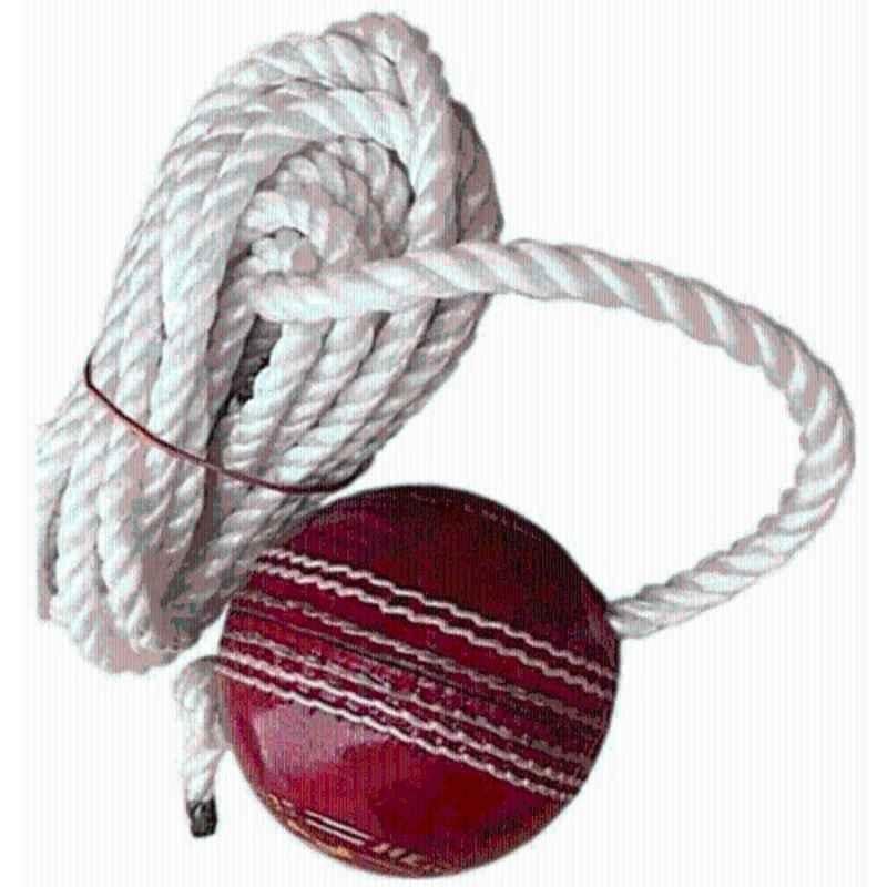 Weber TG40 Red Leather Cricket Hanging Ball for Shot Practice