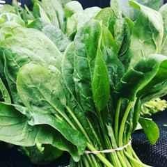Only For Organic 50g Spinach 500 Seeds for Home Gardening, FK-T1S9-5W6Y