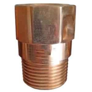 Lehry Valves 40mm FLP Brass Male to Female Threaded End Check Valve, LIV-NRV-BS-OEM