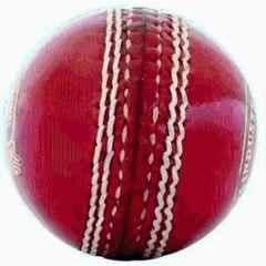 Sportify Red Leather Cricket Ball