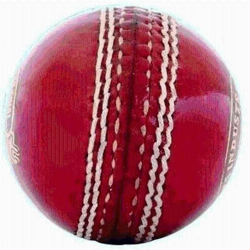 Sportify Red Leather Cricket Ball