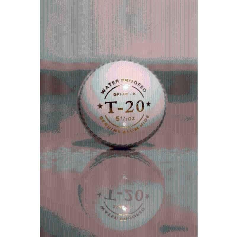 Cricket Kingdom CK White T-20 Standard Cricket Leather Ball