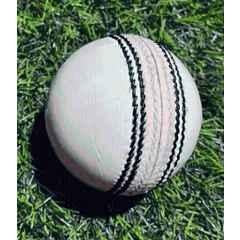 HTM Cricket Leather Ball for training, Hobby Play & casual matches Cricket Leather Ball (Standard White)