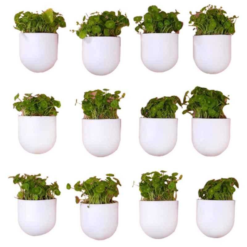 Blume Bubble 7.5 inch Plastic White Hanging Planter, BBM-WT-12 (Pack of 12)