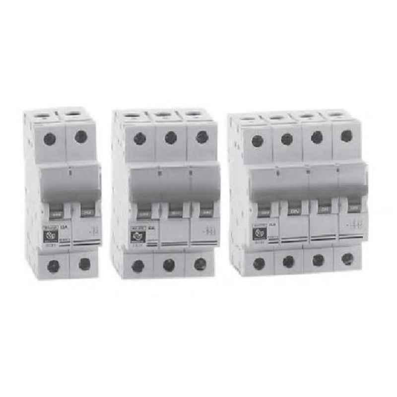 BCH 63A Double Pole Isolator, BCHISODP63