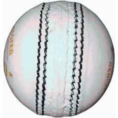 HTM T-20 White Leather Cricket Ball