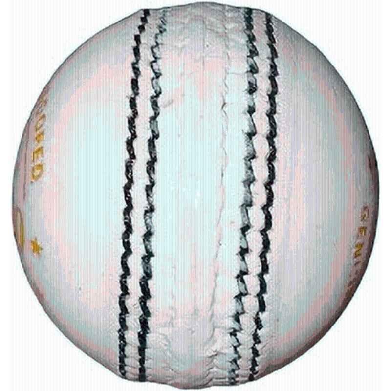 HTM T-20 White Leather Cricket Ball