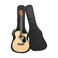 Techno 34 & 38 inch Acoustic Guitar Gig Bag with 3mm Padding, RJ-TCBG-3638