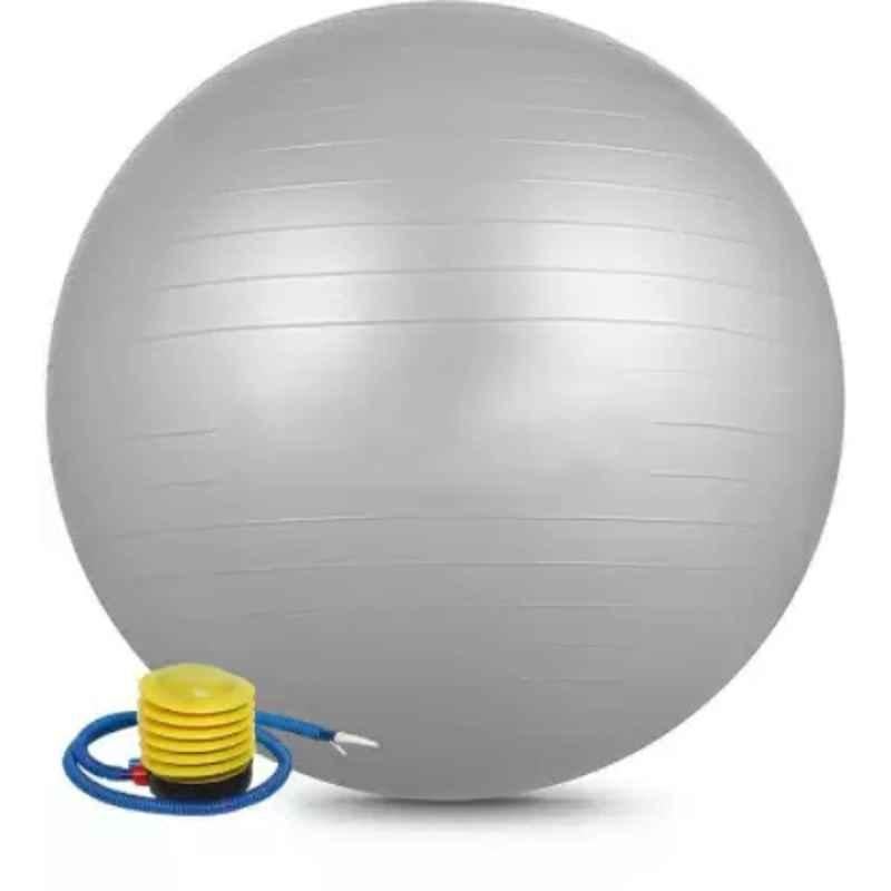 Gym Ball: Buy Gym Balls Online at Best Prices In India