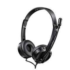 Buy Rapoo Black Wired Headphone with Mic H100 Online At Price 1093