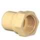 Supreme 25mm CPVC Female Thread Adapter, MC1P1FTA003I